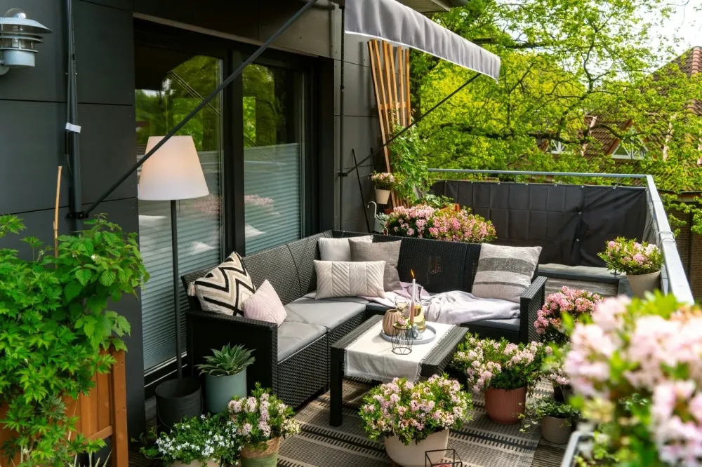 plantes exterieur